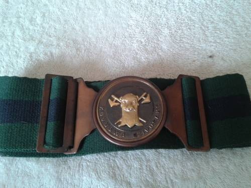 sadf stable belt
