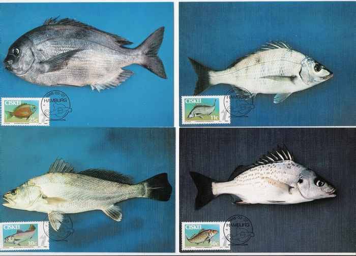 1985 Ciskei Maxicards - Coastal Angling.