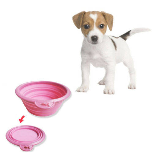 ***WHAT A GREAT IDEA*** PRETTY & PRACTICAL COLLAPSIBLE , SPACE SAVING TRAVEL PET FOOD/WATER BOWL