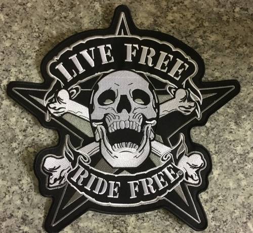 BDG84 Large Skull with star badge patch