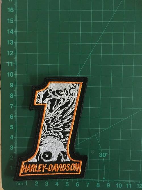 BDG1141 H D Nr 1  Eagle badge patch in orange