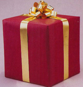 Mystery X-mass box for BOYS!   Guaranteed Value of R300.00 plus