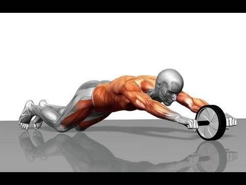Newest AB wheel /AB slider exercise wheel / AB wheel Roller