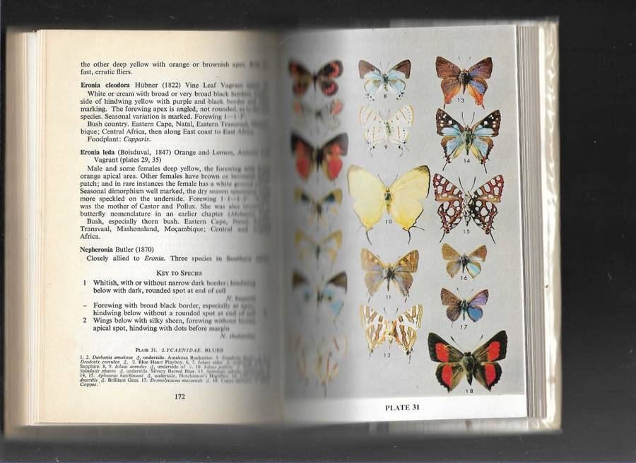 THE BUTTERFLIES OF SOUTHERN AFRICA- DR E PINHEY