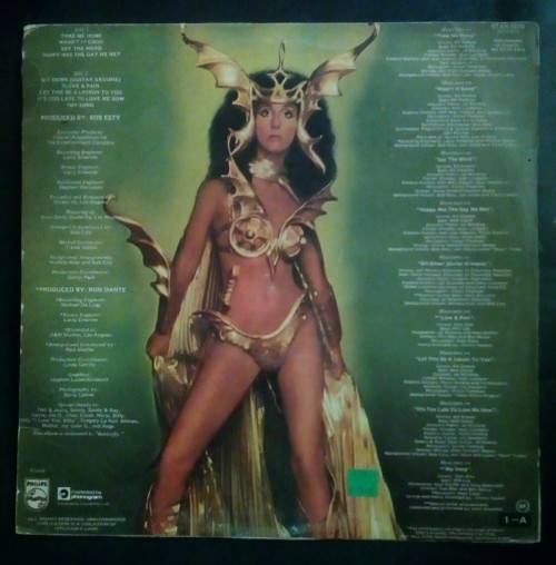 Cher - Take Me Home LP Vinyl Record