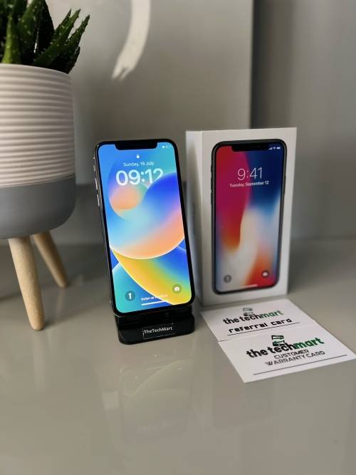iPhone X 256GB
