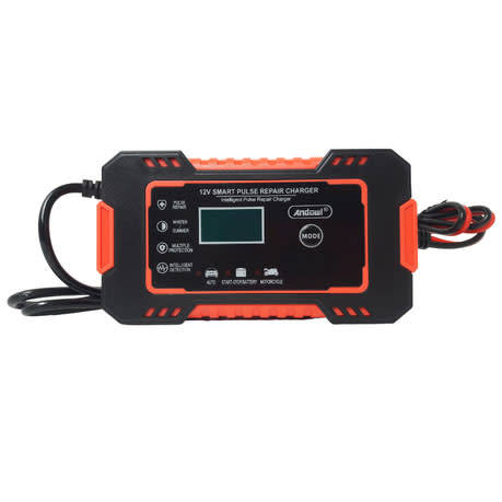 12V Intelligent Pulse Repair Charger for 2 - 100ah battteries