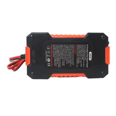 12V Intelligent Pulse Repair Charger for 2 - 100ah battteries