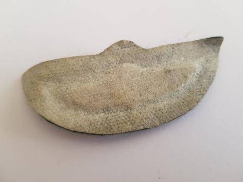 Rhodesian SAS Para wing. Not issued.