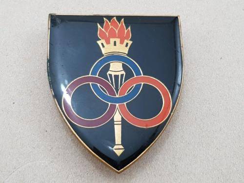 Ordnance Services School Shoulder Flash. Pins Intact.