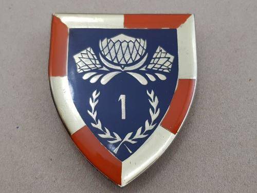 1 Special Services Battalion Shoulder Flash. Pins Intact. 1 SSB