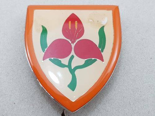 SA Military Academy Shoulder Flash. Pins Intact.