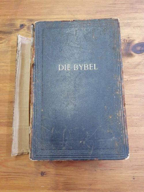 1953 Familie Bybel Labuschagne and Spies Family.