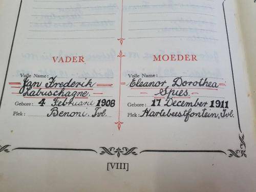 1953 Familie Bybel Labuschagne and Spies Family.