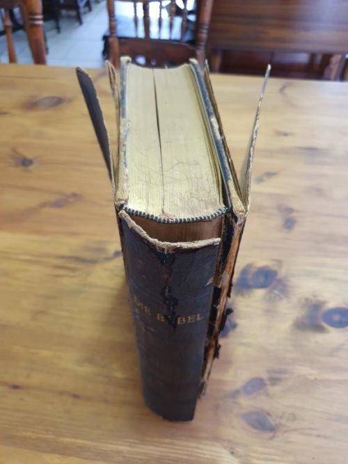 1953 Familie Bybel Labuschagne and Spies Family.