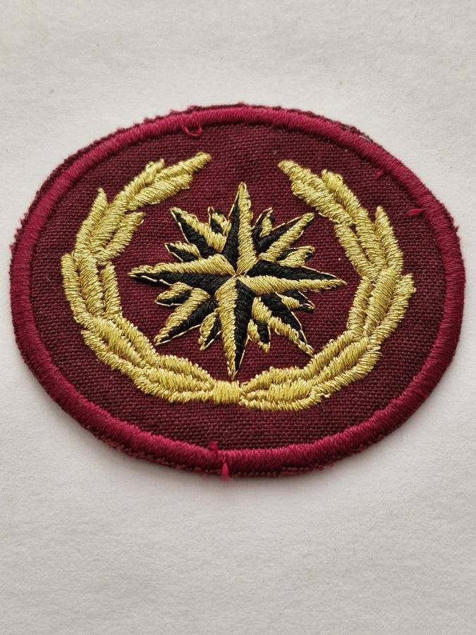 Recce/Special Forces Compass Rose Beret badge. Selling as a copy.
