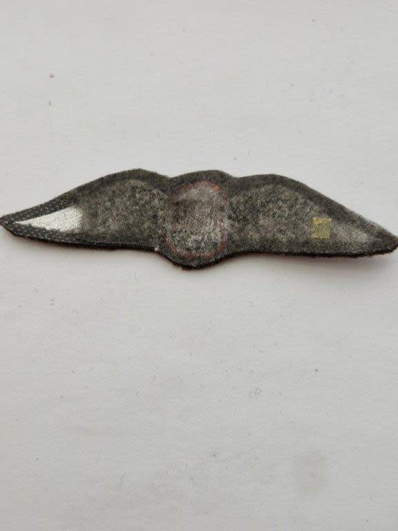 SADF Parachute freefall instructor cloth wing