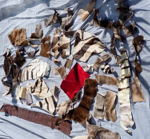 GENUINE ZEBRA,WILDEBEEST, SPINGBOK ETC.// PIECES FOR ARTWORK OR CREATION OF SML ITEMS