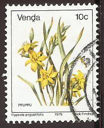 1979 VENDA FLOWER