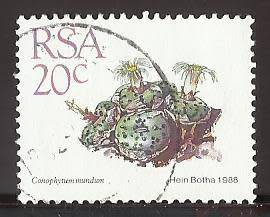 1988 SOUTH AFRICA SUCCULENTS