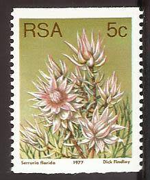 1977 SOUTH AFRICA FLORA, PROTEA PLANTS