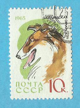 1965 RUSSIA DOG