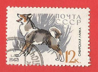 1965 RUSSIA DOG