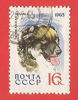 1965 RUSSIA DOG