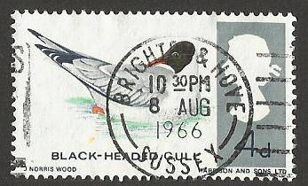1966 GREAT BRITAIN ANIMAL BIRD GULL