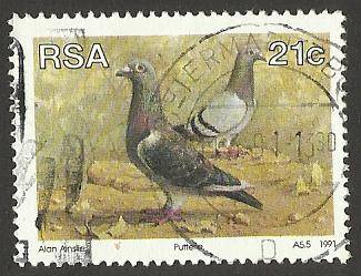 1991 SOUTH AFRICA ANIMAL PIGEON