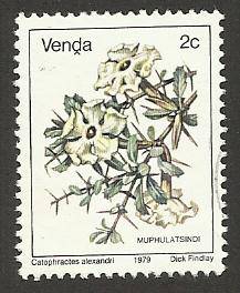 1979 VENDA FLOWER