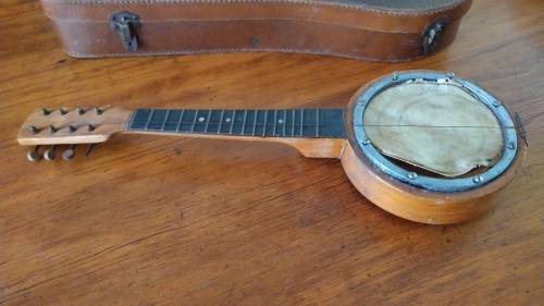 Vintage Banjo with Carry Case