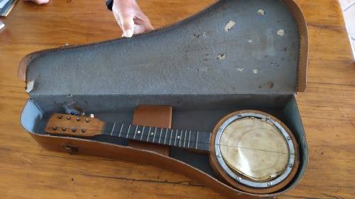 Vintage Banjo with Carry Case