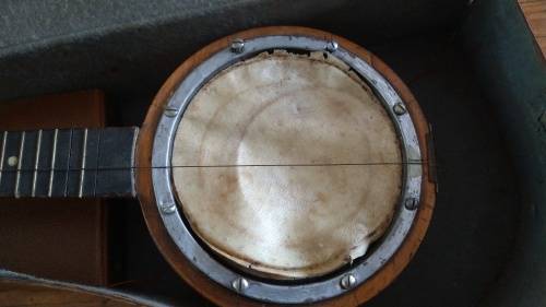 Vintage Banjo with Carry Case