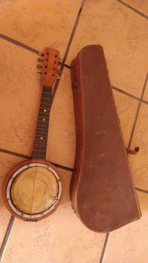 Vintage Banjo with Carry Case
