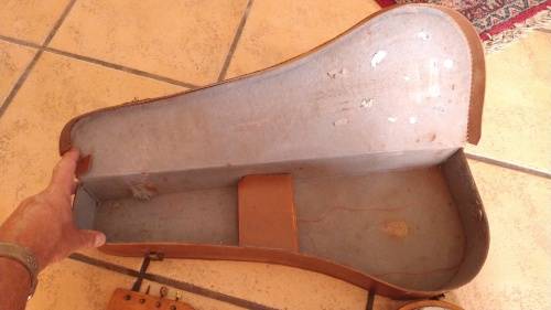 Vintage Banjo with Carry Case