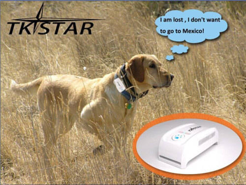 GPS Tracker The Latest in PET & Personal Security