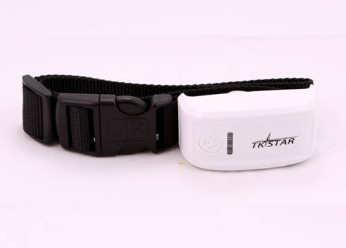 GPS Tracker The Latest in PET & Personal Security