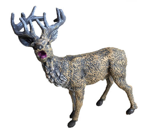 The Worlds Biological Wild Animal Series Toys Collect all 6