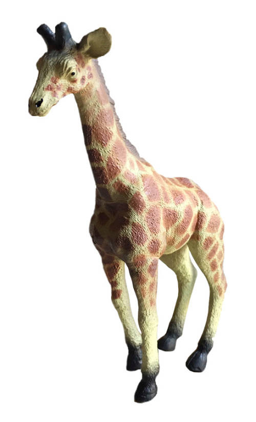 The Worlds Biological Wild Animal Series Toys Collect all 6