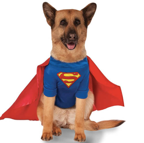 DC Comics Superman Shirt and Cape Pet Costume - L