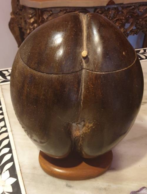 Original Coco De Mer box .  1950- 1970 .