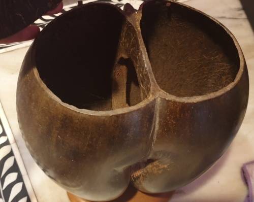 Original Coco De Mer box .  1950- 1970 .