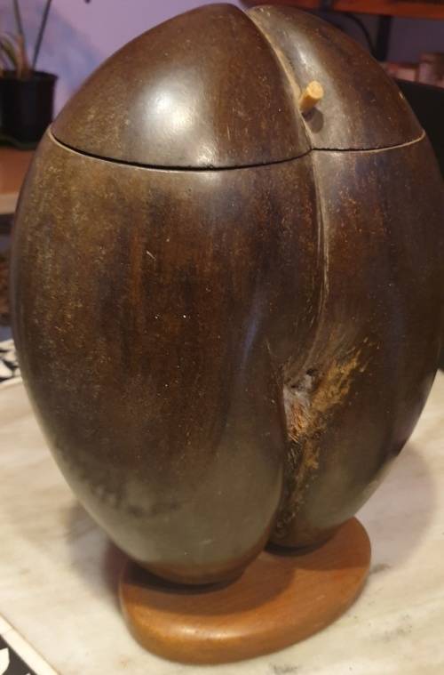 Original Coco De Mer box .  1950- 1970 .