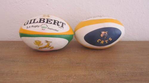 2 x Mini Souvenir Rugby Balls - Springboks and Cats