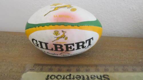 2 x Mini Souvenir Rugby Balls - Springboks and Cats