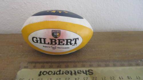 2 x Mini Souvenir Rugby Balls - Springboks and Cats