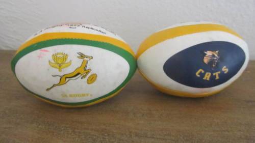 2 x Mini Souvenir Rugby Balls - Springboks and Cats