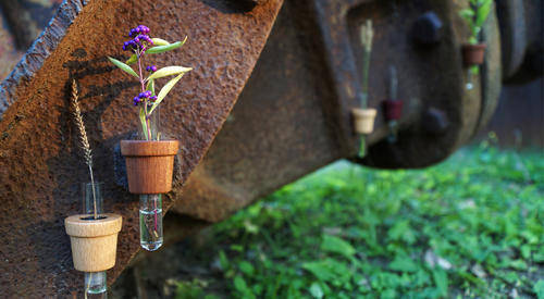 funshop smart pot vase flower gift wood decor christmas present beech glass home