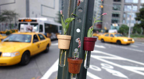 funshop smart pot vase flower gift wood decor christmas present beech glass home